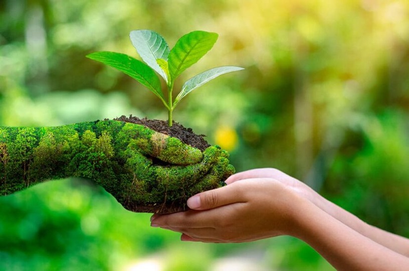 7 formas sencillas para proteger el medio ambiente