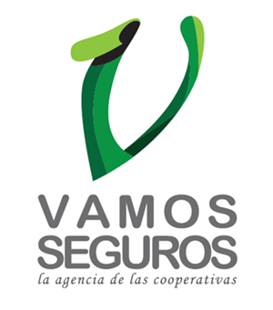 Vamos Seguros